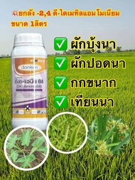 2.4-ดี-ไดเมทิลแอมโมเนียม 24-D-dimethylammonium1 ลิตร