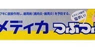 清貨：日本SUNSTAR 顆粒結晶鹽牙膏 170克