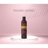 Young Living YL V6 V 6 V-6 Vegetable Oil Complex Massage Oil
