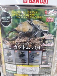 生物大圖鑑 扭蛋
