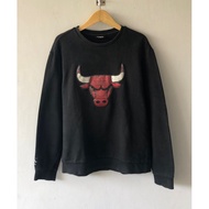 Chicago Bulls NBA Vintage Logo 3D Crewneck