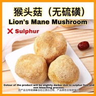 无硫磺猴头菇干 Dried Lion‘s Mane Mushroom (no sulphur)100g