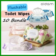 [SEA SHIPPING] 🇰🇷 OLDAM Flushable Kids Toilet Wipes / Flushable Feminine Wipes / Bidet Wet Wipe