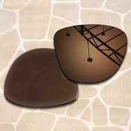 Anti-Scratch Polarized Replacement Lenses for Oakley Frogskins Hybrid OO9289 55mm Sunglasses Frame -