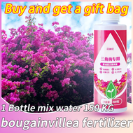 ✨Can dilute 150KG of water✨bougainvillea fertilizer 300ml+gifts bloom booster for bougainvillea