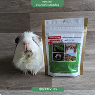 Treat_World EmerAid IC Herbivore (100g.) อาหารเสริมสำหรับสัตว์กินพืช แบรนด์ เอ็มเมอร์เอด