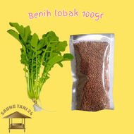 Benih Lobak Lalap/Lobak Daun/ Kemasan 100gram