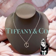 🍎 TIFFANY &amp; CO. 蒂芙尼|925純銀蘋果吊墜銀飾項鍊#全新