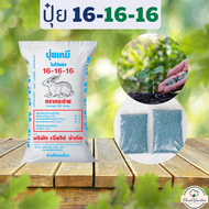 ปุ๋ยเคมี 16-16-16 ช่วยให้พืชได้รับสารอาหารที่จำเป็นอย่างสมดุลและมีประสิทธิภาพ (25 กก.-50 กก.)