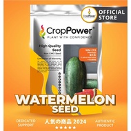 (200 GRAM) Biji Benih Tembikai Madu Mantap 蛮大粒 WM213 CROP POWER F1 HYBRID Watermelon Seeds 黑美人西瓜种子 W