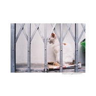 Out of Print Germany VIBE Color Film 400 Night Daily Novice Introductory Photosensitivity 135 Film C