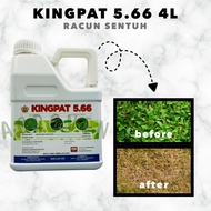 KINGPAT 5.66 4LITER / racun rumpai basta / alternatif basta / weed killer kuat / buick 5.66 / dalas 