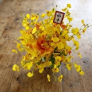 舞動富貴招財跳舞蘭香氛花禮/春節/過年/新春/送禮/祝賀