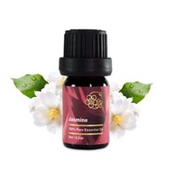 Amour 精油 -  Jasmine Essential Oil - 茉莉花 5ml - 100% Pure