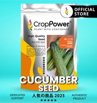 (100 GRAM) Biji Benih Timun DC1119 CROP POWER F1 Hybrid Cucumber Seeds  黄瓜种子 DC 1119