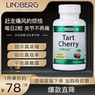 【临期2024-1月】LINDBERG 黑樱桃酸樱桃提取物胶囊100粒尿酸高平衡促进嘌呤代谢美国进口 1瓶装【改善痛风】【2024-1月】
