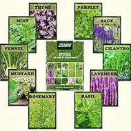 2017 New Arrl !!! 200 PCS Green s Family Food Cordyceps Seeds Weird Magic Venus Flytrap ivorous Seed