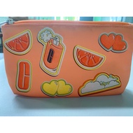 Clinique Cosmetic Bag