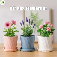 Pasu Bunga Athens / Athens Flower Pot Indoor Decorative Plant Pot Pink Blue White Colour
