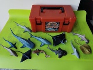 大阪海遊館鯊魚紀念品(一套12隻)。