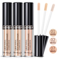 BIOAQUA Love Soul Silky Skin Concealer 3g