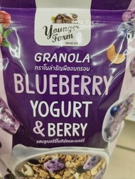 Crispy baked grains Have3flavor Strawberry &Blueberry &Mix Fruit Flavor 200g*1pcs.