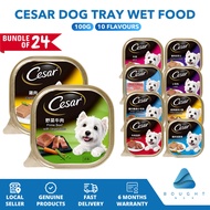 [Bundle of 24] Cesar Dog Tray Wet Food 100g - Beef Lamb Chicken Roast Turkey & Vege Chicken & Vege C