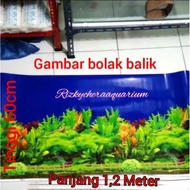 Aquarium picture wallpaper 60cm X 120cm Height 60cm Length 120cm