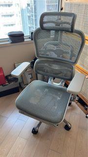 Ergohuman Ergonomic Office Chair