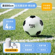 Inflatable Giant Outdoor Toy Ball