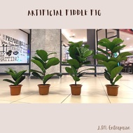 🔥 Ready Stock 🔥 Premium Artificial Fiddle Fig Plant/ Pokok Hiasan Fiddle Fig