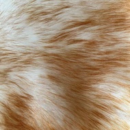 chair cushion office chair cushion Clearance gold plush office chair cushion thickened round cushion