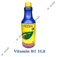 Phân bón lá đậm đặc cao cấp VITAMIN B1 Growmore (500ml 1Lít) -  B1 Cho Cây Kiểng Hoa Kiểng B1 Kích R