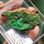 Arsenic Copper Calcium Stone/Arsenic Ore No. 0528-10 Conichalcite~Promote Grounding Roots And Stabil