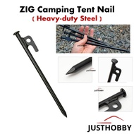 [🇲🇾 MSIA SHIP] ZIG Outdoor Camping Tent Nail Paku camping camp nail paku camp tent peg tent nail ten