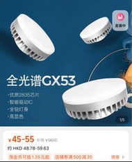 LED 筒燈 燈膽 6個