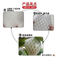 Guava Fruit Insect-Proof Bag Guava Fruit Net Bag Guava Protection Bag Guava Bag Guava Bag Guava Frui