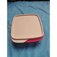 Tupperware Lolly Tup/Lunch Box