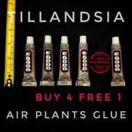 E6000 GLUE for Air Plant 空气草凤梨植物胶水 9ml/pc