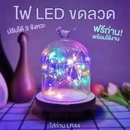 ไฟประดับ ไฟตกแต่ง ไฟแฟรี่ LED ปรับได้ 3 โหมด (ใส่ถ่าน LR44) 3 Modes Adjustable LED Fairy Light (LR44