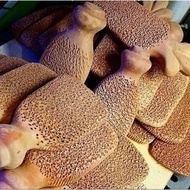 Terracotta Foot Scrubber Pumice Stone