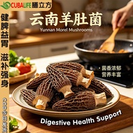 5A特级羊肚菌 100g Morel Mushroom Cendawan Morel Kering Sulphur Free 云南羊肚菌干蘑菇 厚实饱满 香味浓郁 菌菇干货 煲汤炖汤 Soup Ste