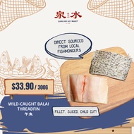 Wild-Caught Balai Threadfin 午鱼