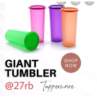 Tupperware Giant Tumbler