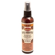 Bugg Spray Repels Mosquitoes Bitting Gnats & Ticks 118ml