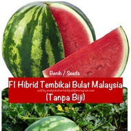 Benih/Seeds : 345 F1 Tembikai Bulat tanpa biji (Hybrid Msia Watermelon (seedless)