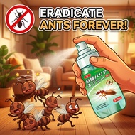 🐜The ultimate ant eradicator💥🐜Ant Killer Spray Ant Killer Ubat semut Ant Repellent Ant Spray Spray S