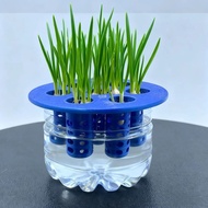 Hydroponic plant cultivation stand suitable for scallions, garlic, coriander, and pennywort, for bal