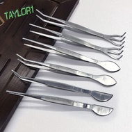 TAYLOR1 Bonsai Tweezers, Handheld Rustproof Stainless Steel Root Rake, Home Gardening Tools Mini Multifunctional 2-in-1 Gardening Rake Loosen Soil