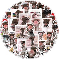 60PCS Science Mouse Stickers Biology Rodent Decals for Lab Notebook Laptop Water Bottle Research Jou